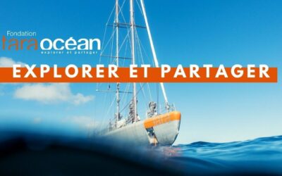 ECSI et EDD : et si c’était possible ?