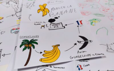 Retour d’expérience : volontaire en service civique dans le festival AlimenTERRE