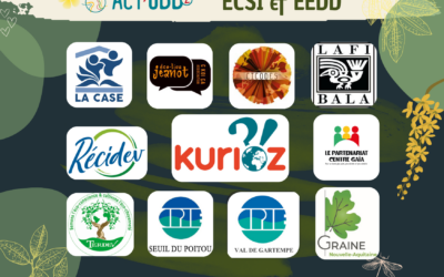 Interview croisée : quand ECSI et EEDD se rencontrent